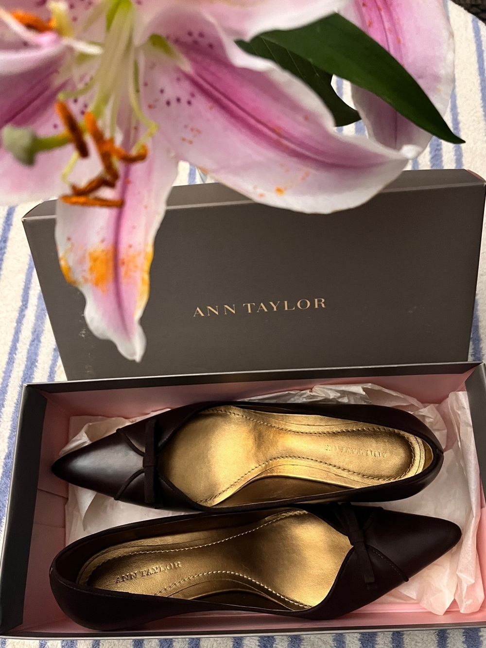 Ann Taylor Brown Pointed Toe Flats with Gold Insole